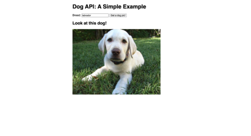 screen shot dog api image finder